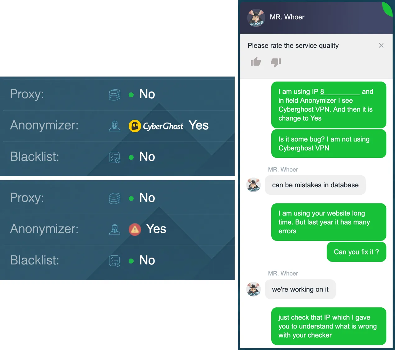 Error defining anonymizer on whoer website