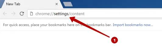 Settings Google Chrome