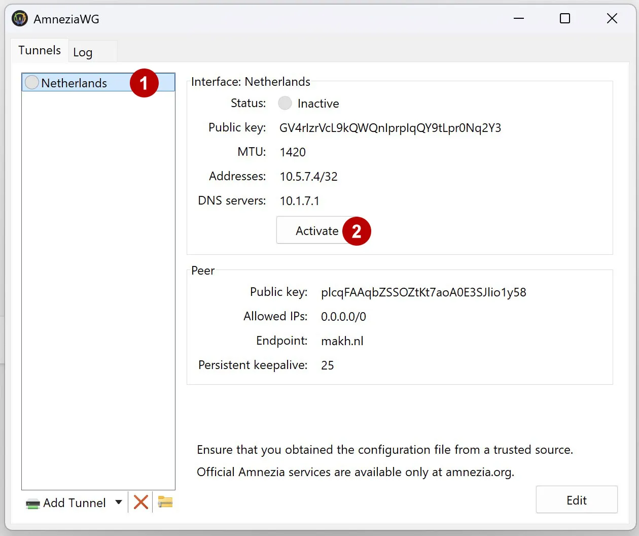 Connect to AmnesiaWG on Windows